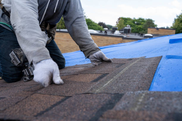 Best Metal Roofing Contractor  in Morgan, UT